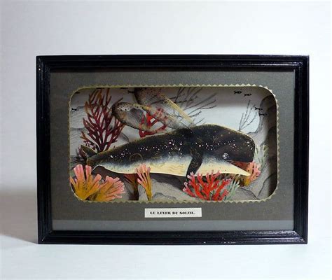 Delightful Diorama Art Offers a Peek into the Lives of Sea Creatures